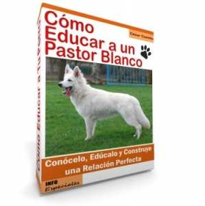 Como Educar a un Pastor Blanco - Guía de Entrenamiento