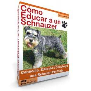 Como Educar a un Schnauzer - Guía de Entrenamiento