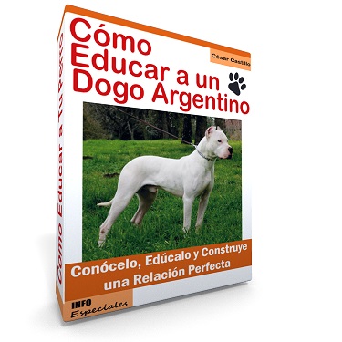 Raza Dogo Argentino
