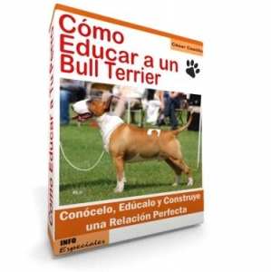 Como Educar a un Bull Terrier - Guía de Entrenamiento