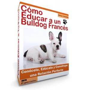 Como Educar a un Bulldog Frances - Guía de Entrenamiento