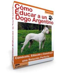 Como Educar a un Dogo Argentino - Guía de Entrenamiento