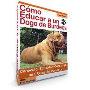 Como Educar a un Dogo de Burdeos - Guía de Entrenamiento