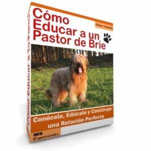 Como Educar a un Pastor de Brie - Guía de Entrenamiento