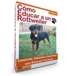 Como Educar a un Rottweiler - Guía de Entrenamiento